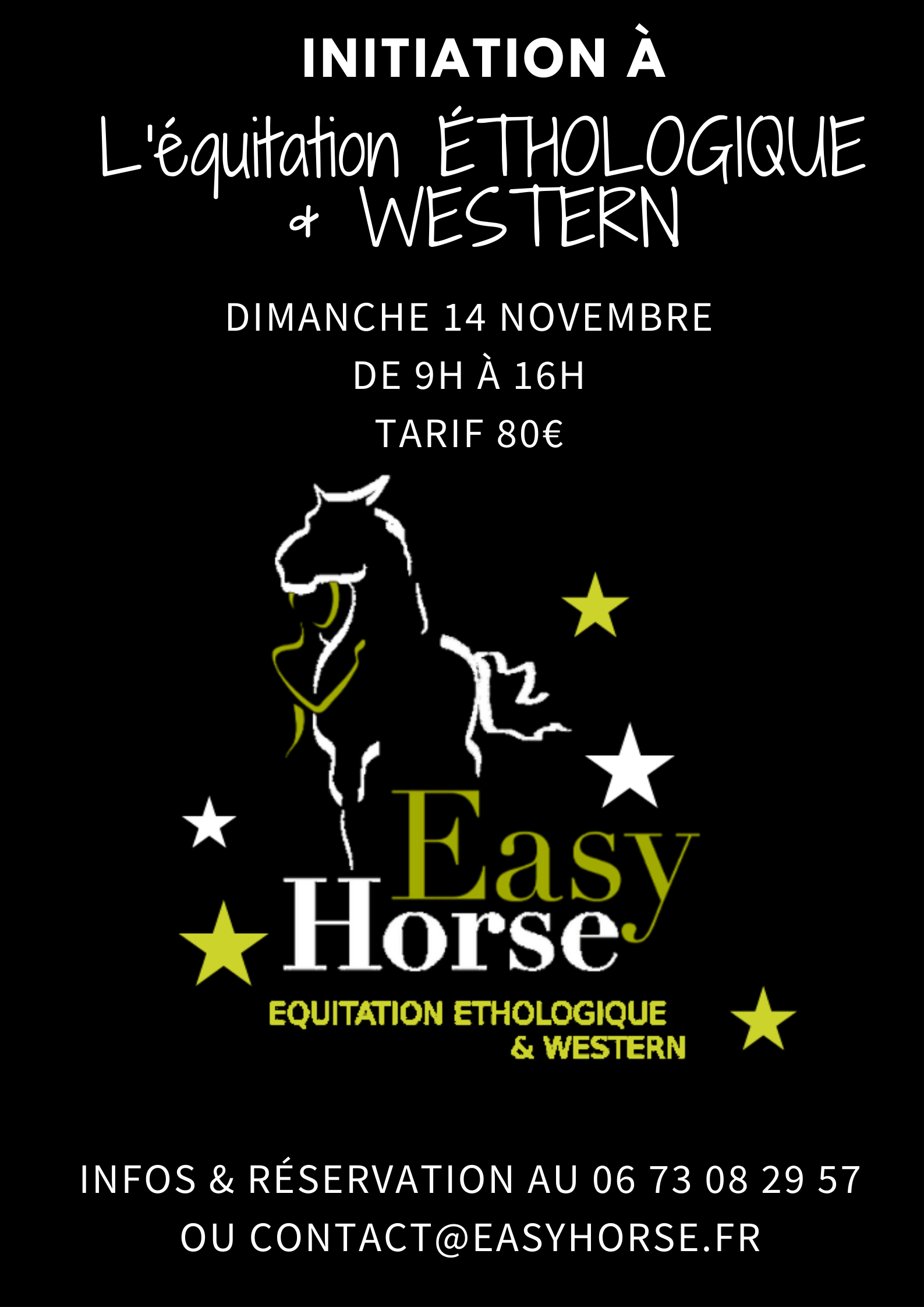 stage ETHOLOGIE & WESTERN, Easy horse